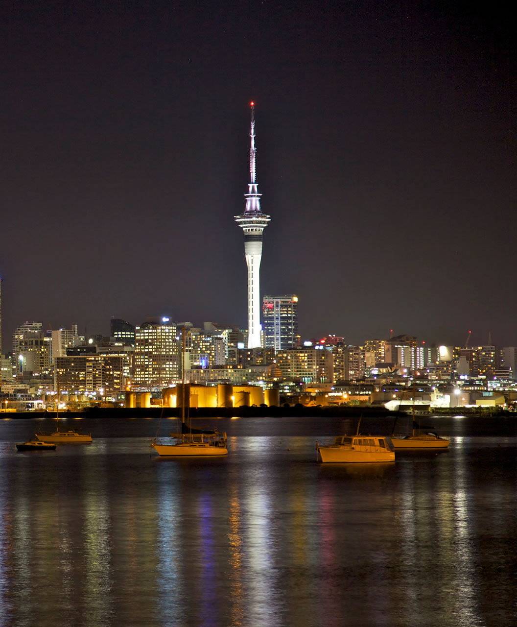 Auckland City Landscape